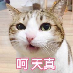 微信圖片_20191205153420.jpg