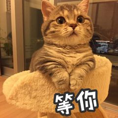 TIM圖片20200603154039.jpg